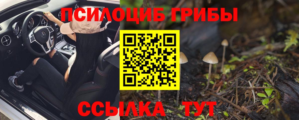 Псилоцибиновые грибы MAGIC MUSHROOMS Хабаровск