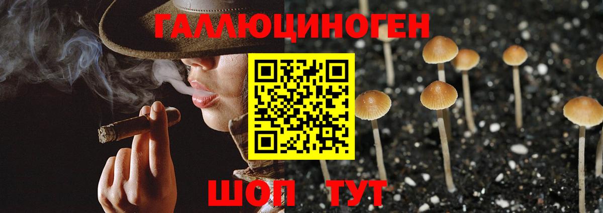 Хабаровск  Псилоцибиновые грибы мицелий  Вход с VPN  Галлюциногенные грибы Magic Shrooms 